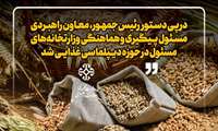 معاون راهبردی با دستور رئیس‌جمهور مسئول هماهنگی وزارتخانه‌های مسئول در حوزه دیپلماسی غذایی شد